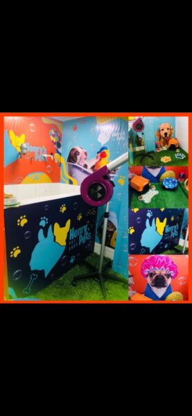 Henry's Pets Pet Shop