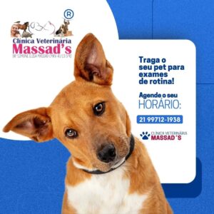 Clínica Veterinária Massad's